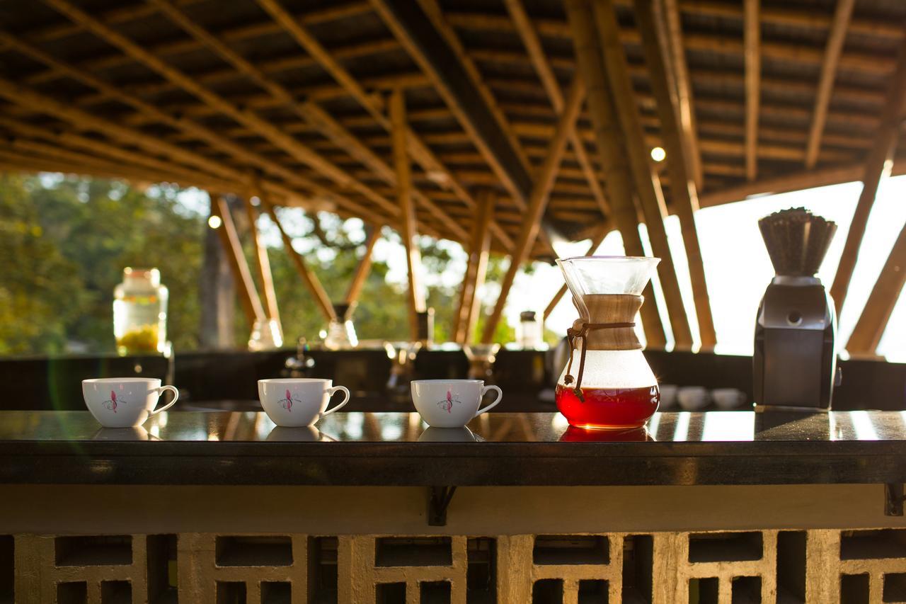 Coffee & Adventure Hotel By La Palma Y El Tucan Zipacon Exterior photo