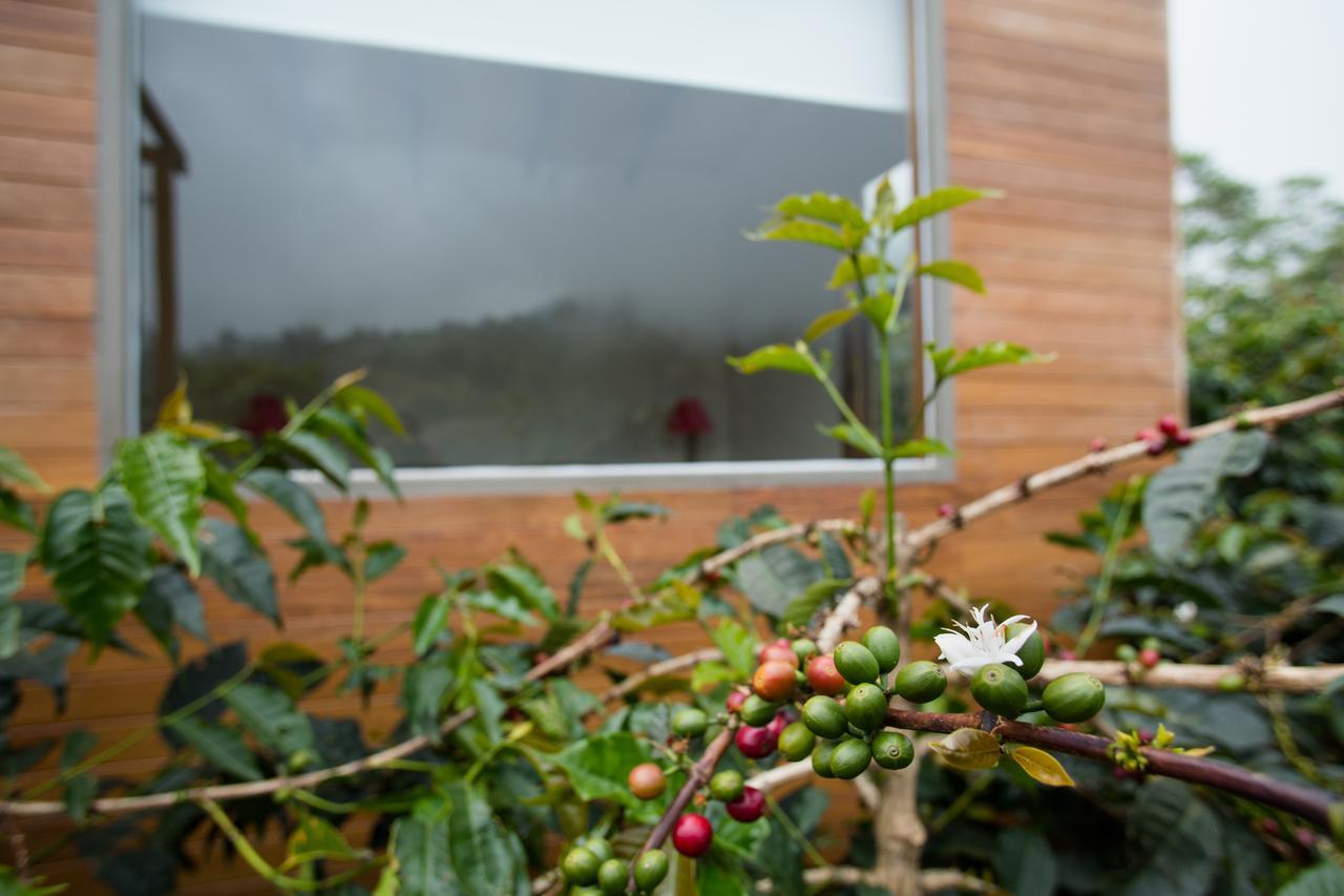 Coffee & Adventure Hotel By La Palma Y El Tucan Zipacon Exterior photo
